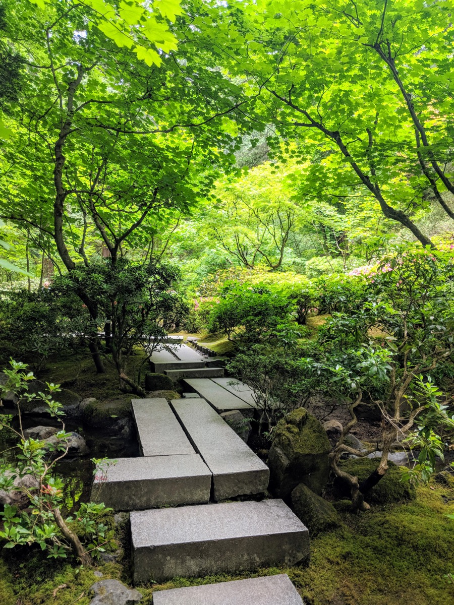 Scenes from the Japanese garden