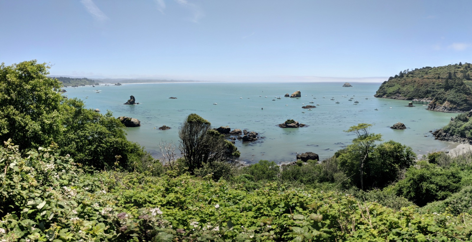 The view over Trinidad Bay